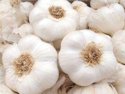 Fresh White Garlic